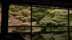『友近・礼二の妄想トレイン』