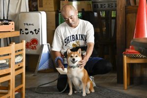 『ちょっとだけエスパー』