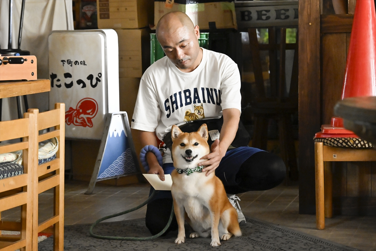 『ちょっとだけエスパー』