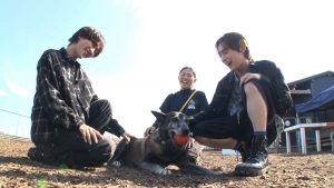 『笑える！泣ける！動物スクープ100連発』