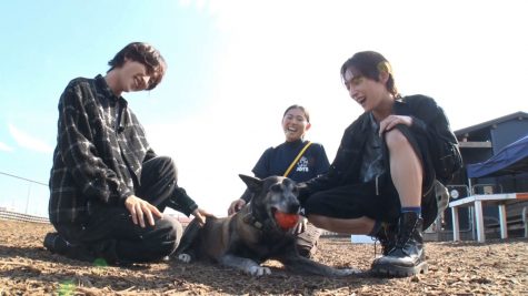 『笑える！泣ける！動物スクープ100連発』