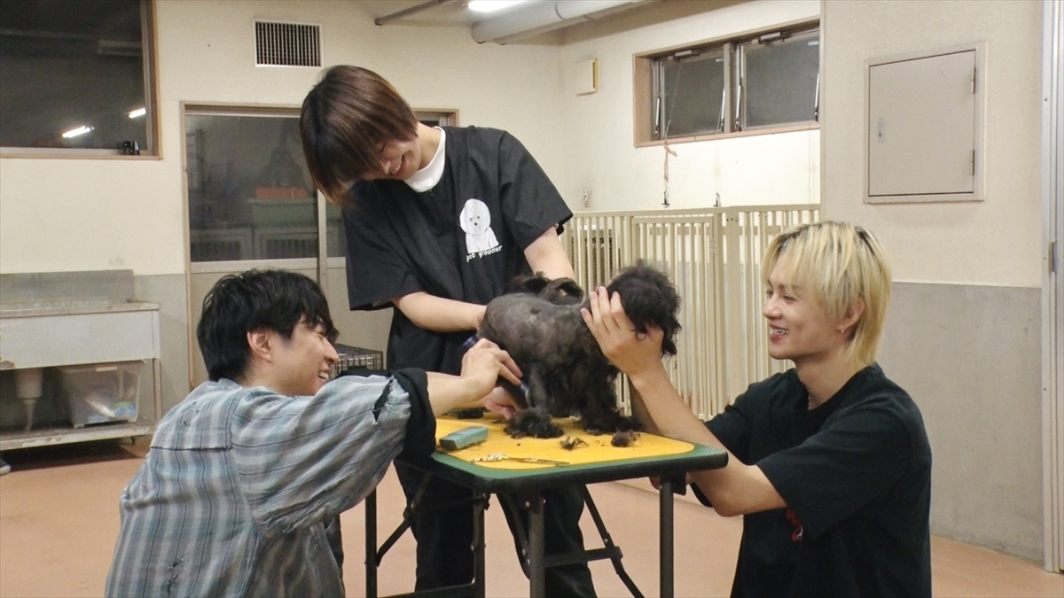 『嗚呼!!みんなの動物園』