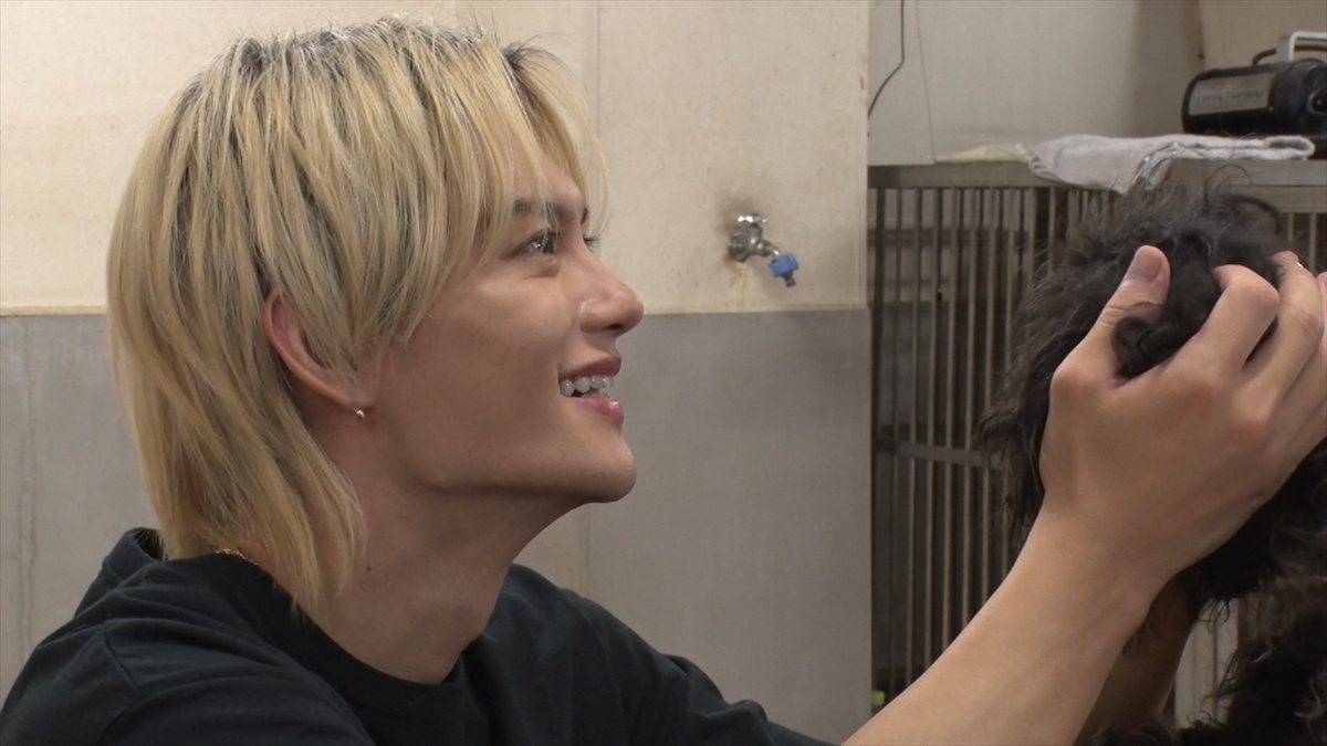 『嗚呼!!みんなの動物園』