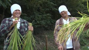 『ザ！鉄腕！DASH!!』