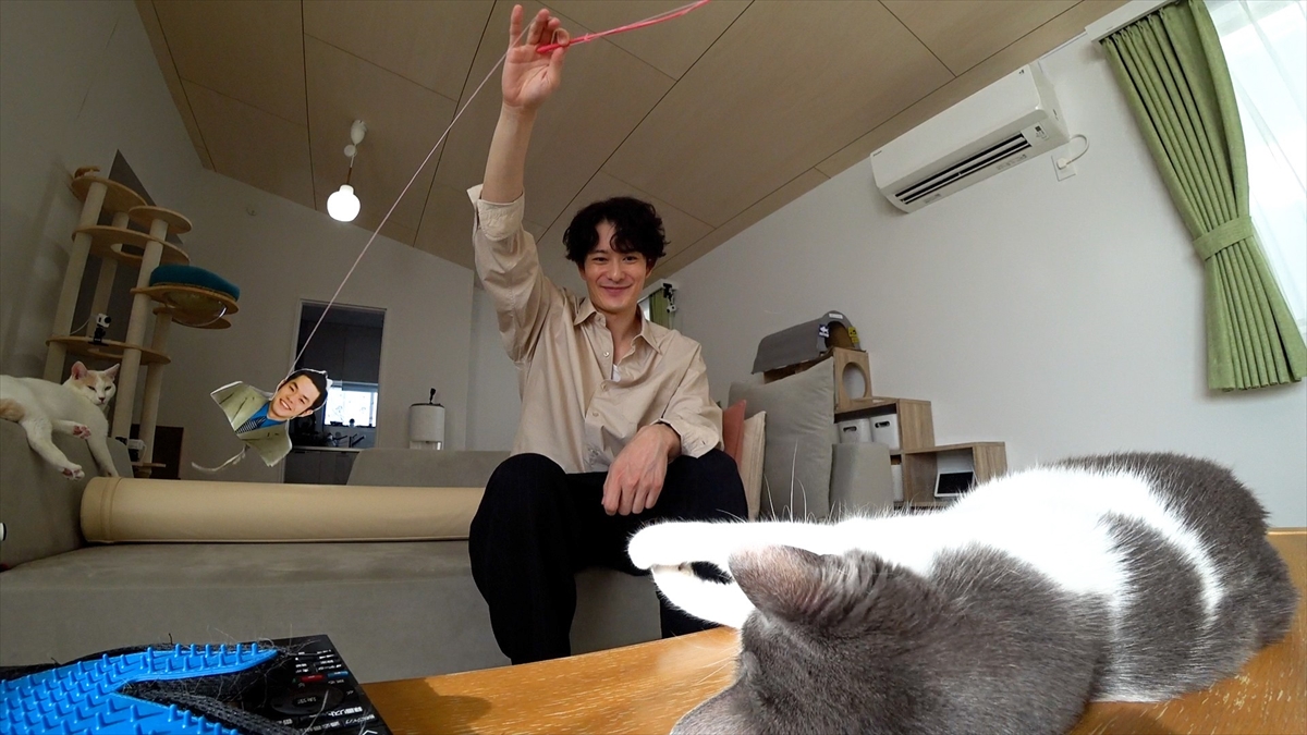 『嗚呼!!みんなの動物園2時間SP』