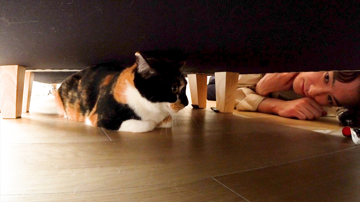 『嗚呼!!みんなの動物園2時間SP』