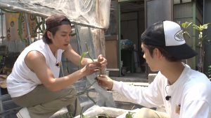 『ザ！鉄腕！DASH!!』