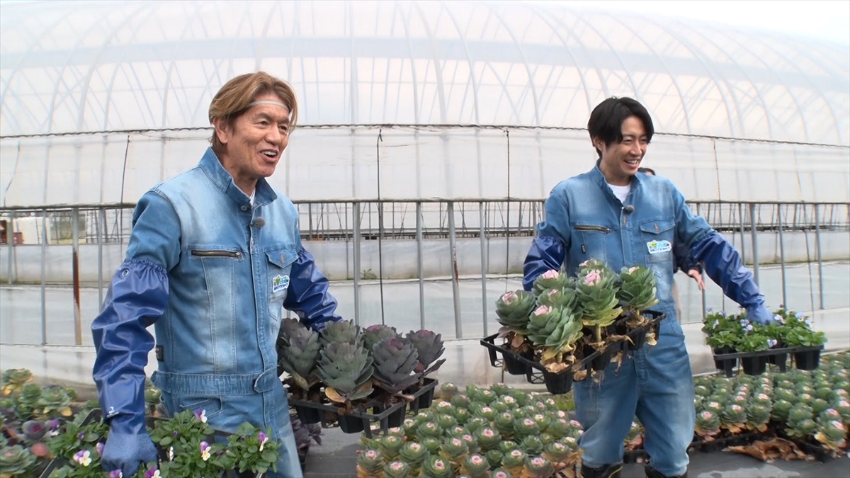 『相葉ヒロミのお困りですカー? クリスマスSP』