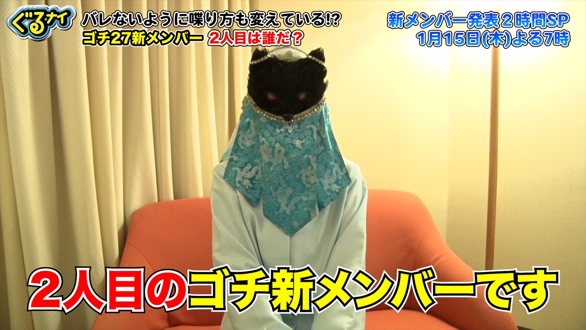 『ぐるナイ』ゴチ新メンバー