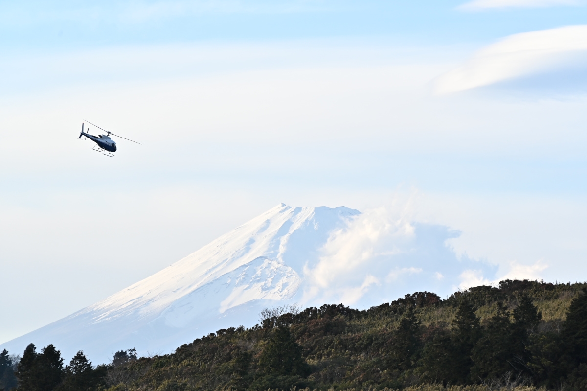 『渡辺直美のニッポン0泊バカンス』