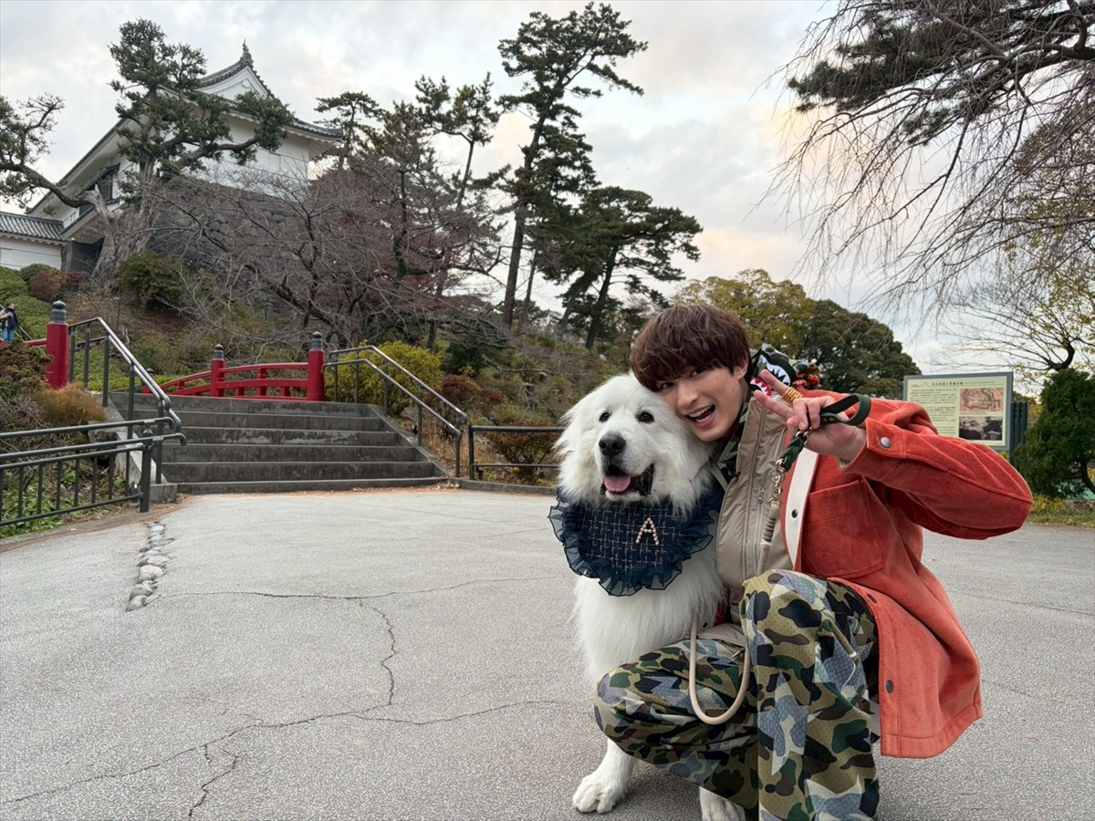 『1億人の大質問!? 笑ってコラえて!』