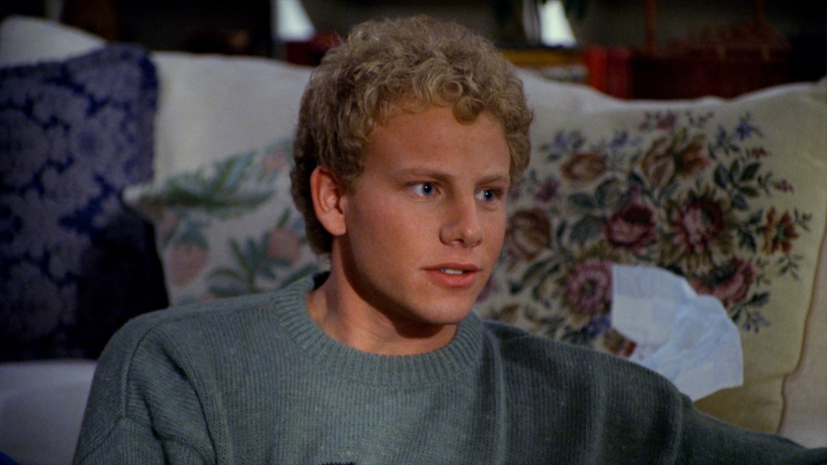 『ビバリーヒルズ 高校白書/青春白書』