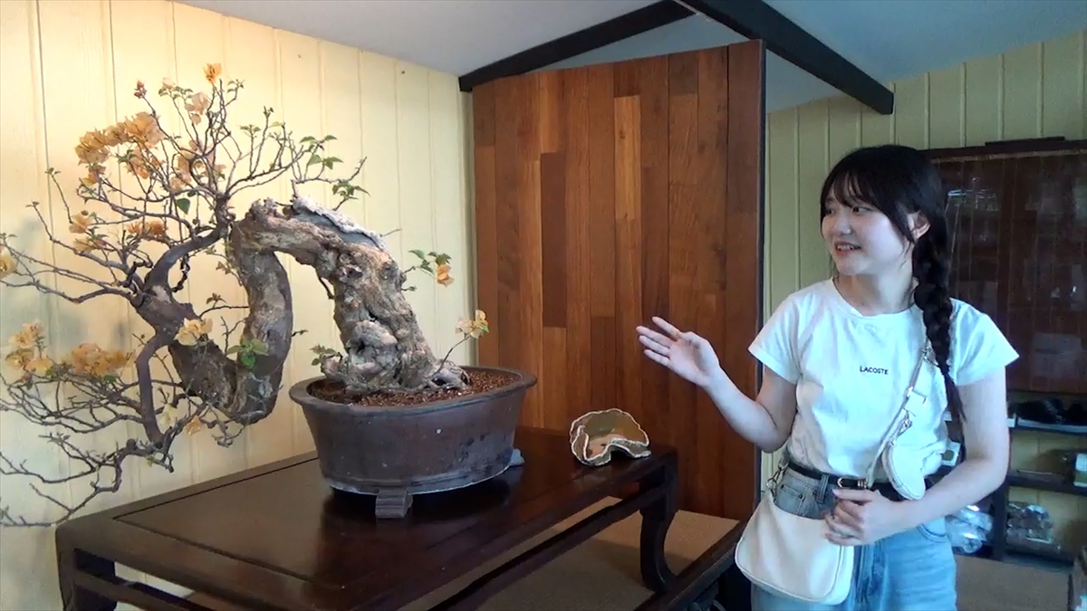 『サンドウィッチマン&芦田愛菜の博士ちゃん』