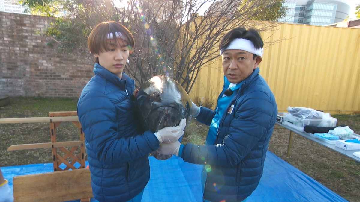 『ザ!鉄腕!DASH!!』