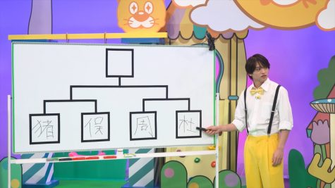 『ニカゲーム』