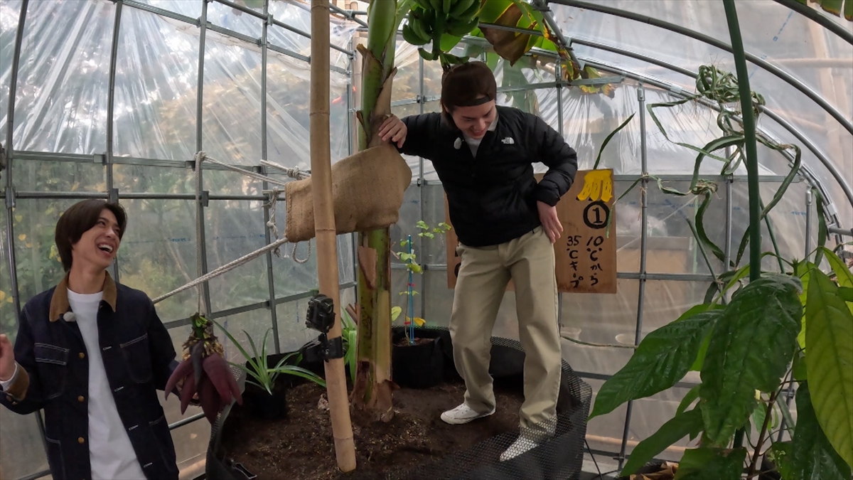 『ザ!鉄腕!DASH!!』