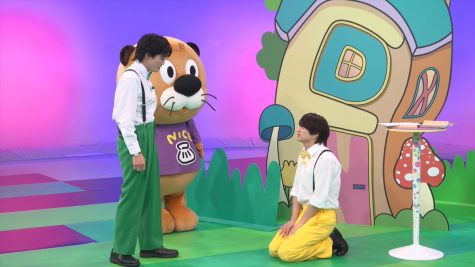 『ニカゲーム』