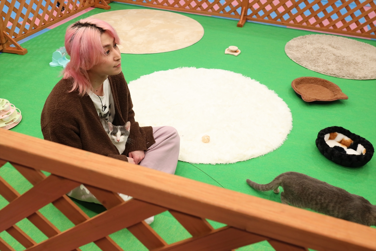 『サクサクヒムヒム』