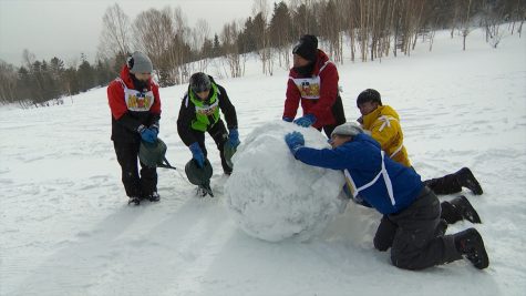 『ザ!鉄腕!DASH!!』