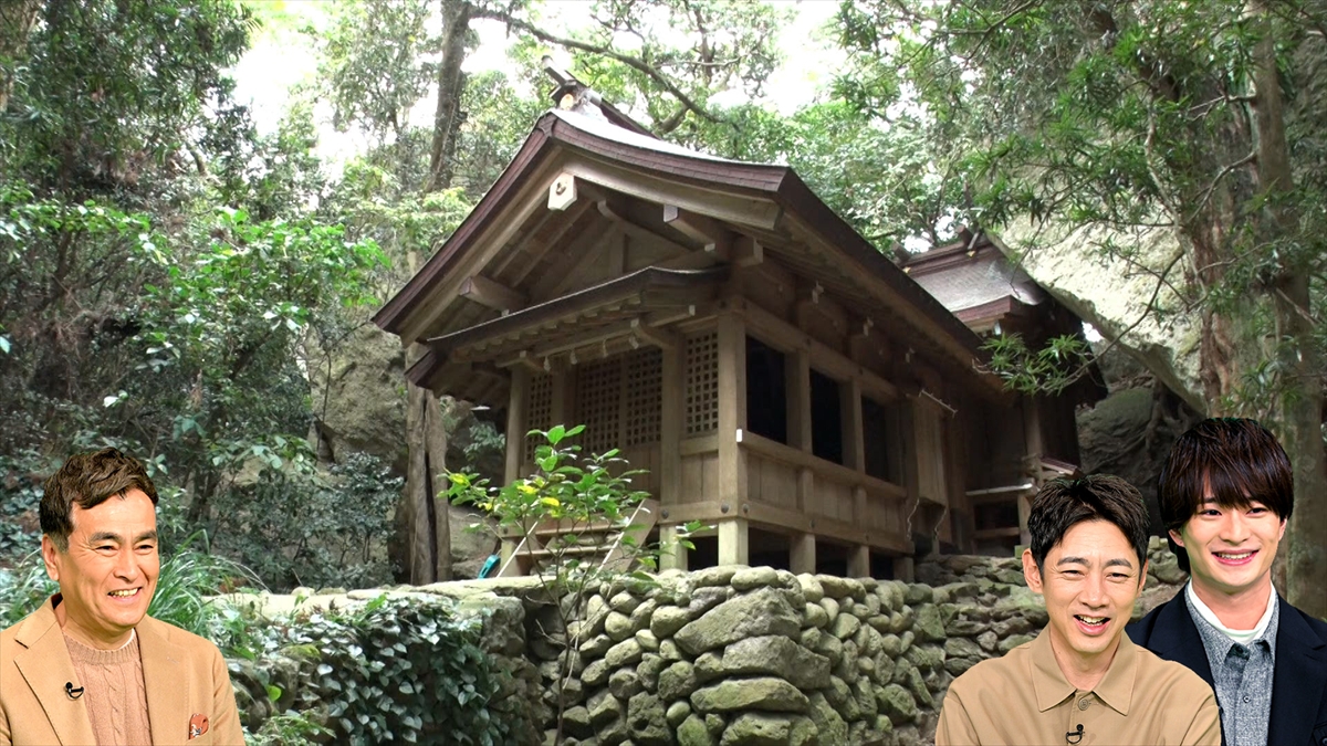 『火曜の良純孝太郎SP』