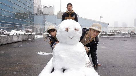 『ネイチャーティーチャー』