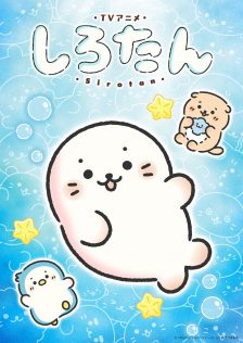 TVアニメ『しろたん』