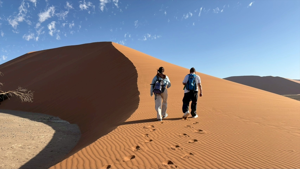 『世界の果てまでイッテQ!春の2時間スペシャル』