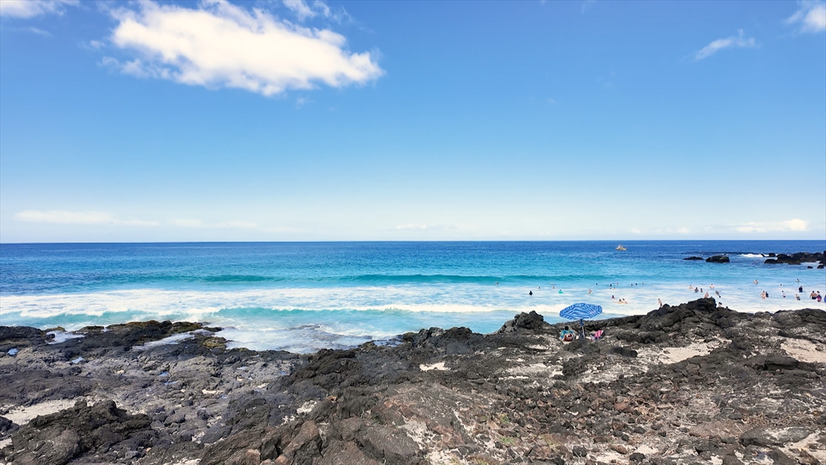 『プラチナファミリー』