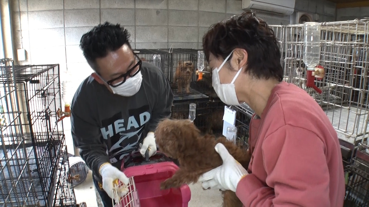 『嗚呼!!みんなの動物園3時間スペシャル』