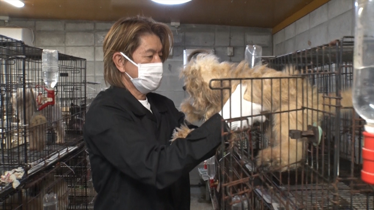 『嗚呼!!みんなの動物園3時間スペシャル』