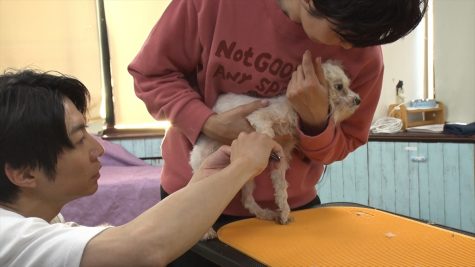 『嗚呼!!みんなの動物園3時間スペシャル』