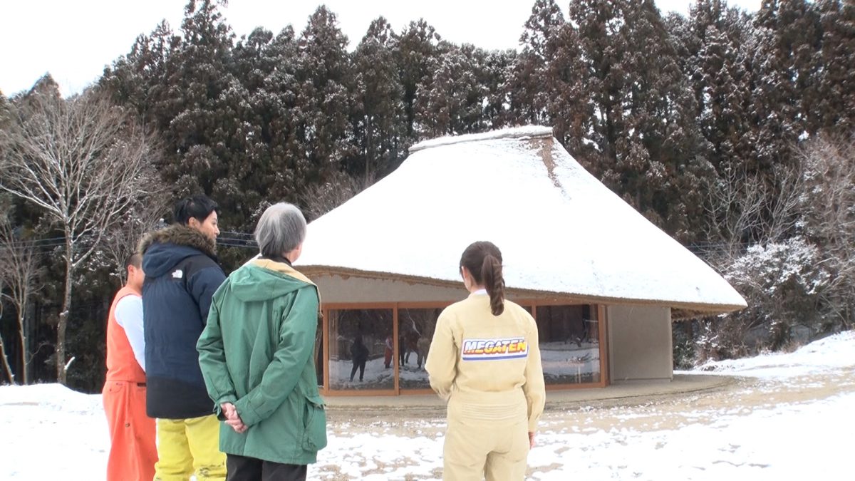 『所さんの目がテン!』