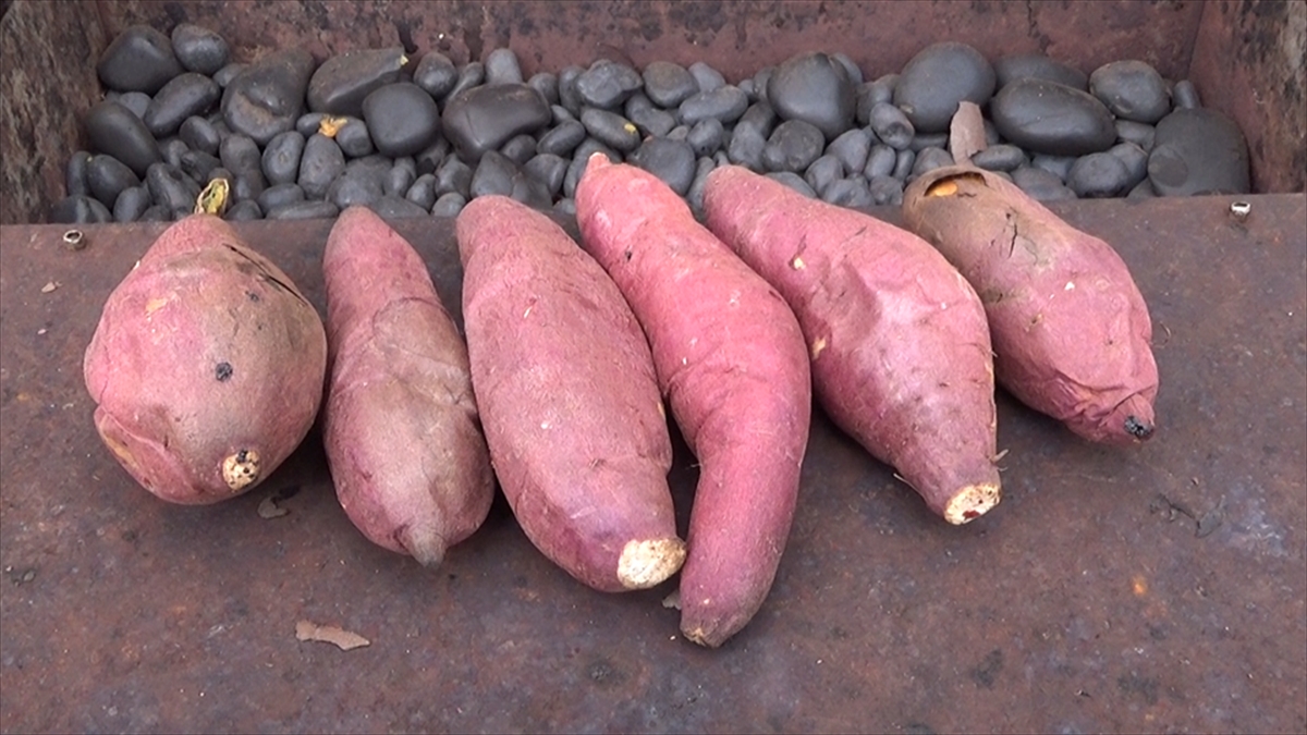 『ヒューマングルメンタリー オモウマい店』