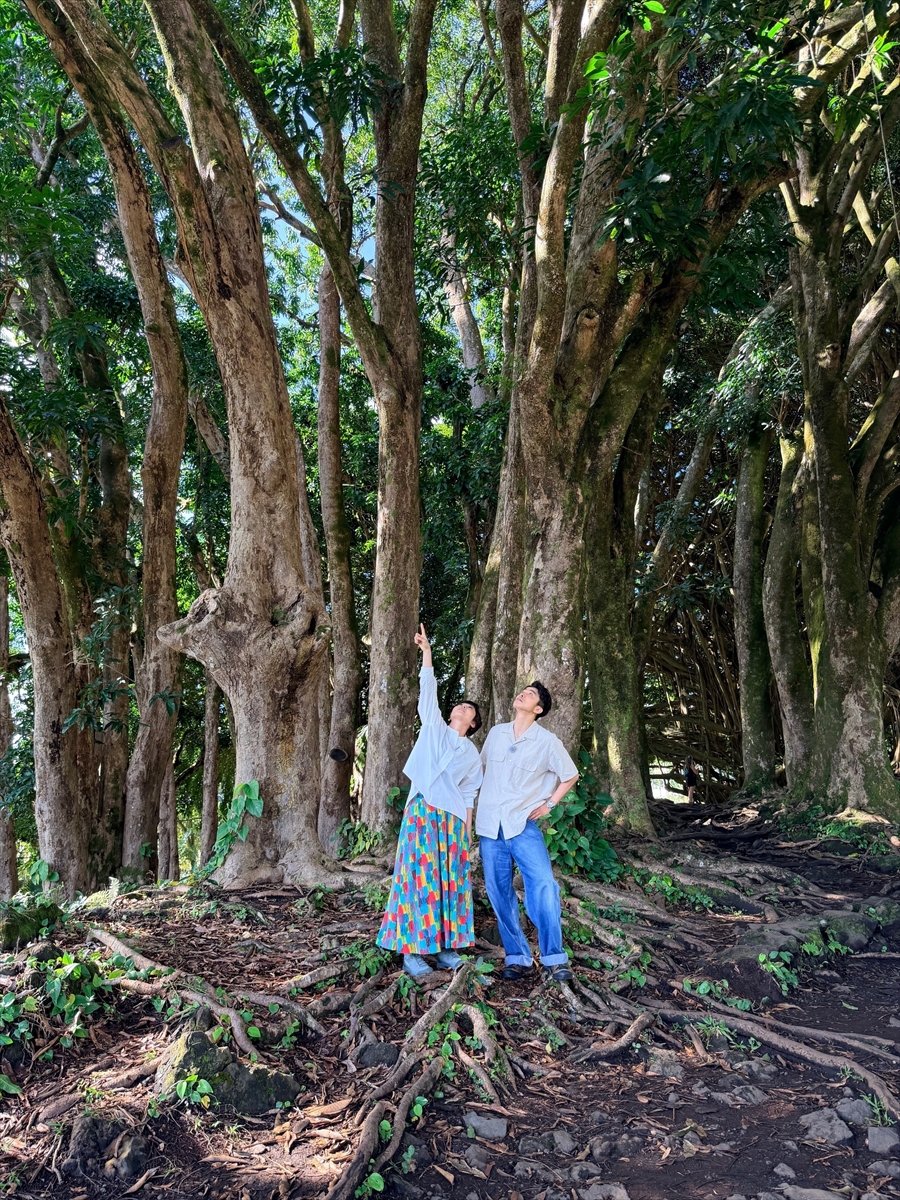 『有働イノッチの探検!世界遺産』