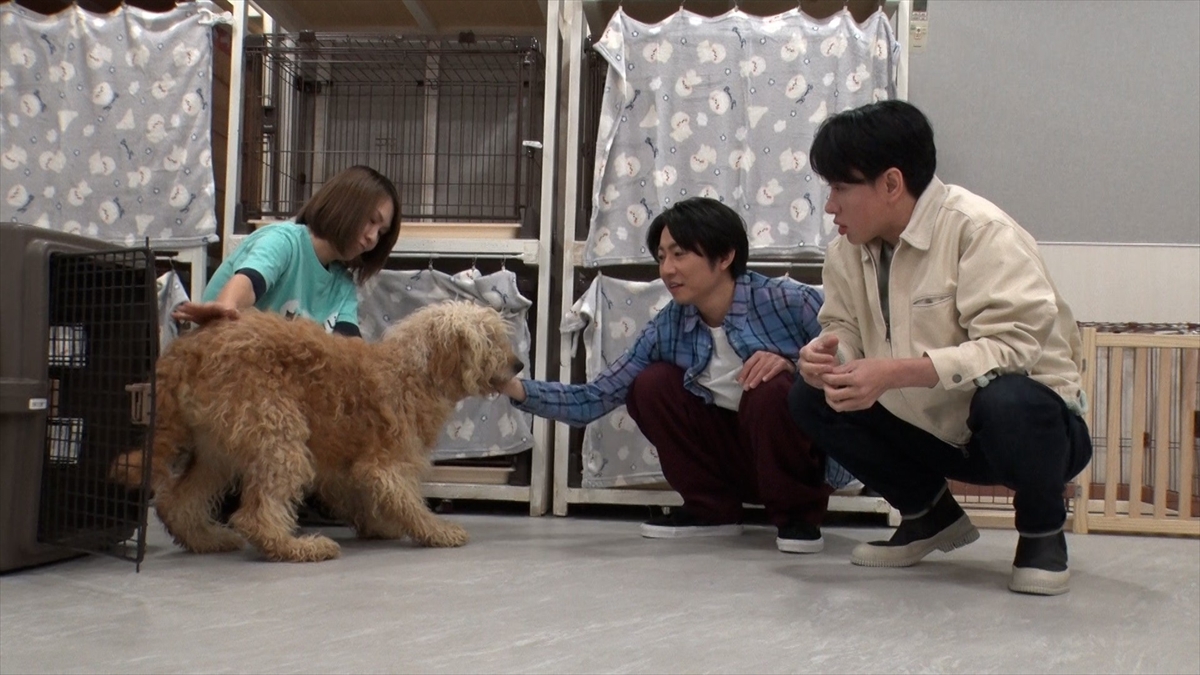 『嗚呼!!みんなの動物園』