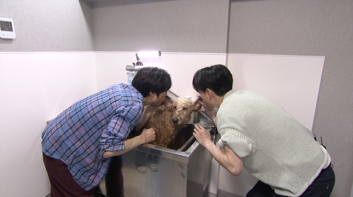 『嗚呼!!みんなの動物園』