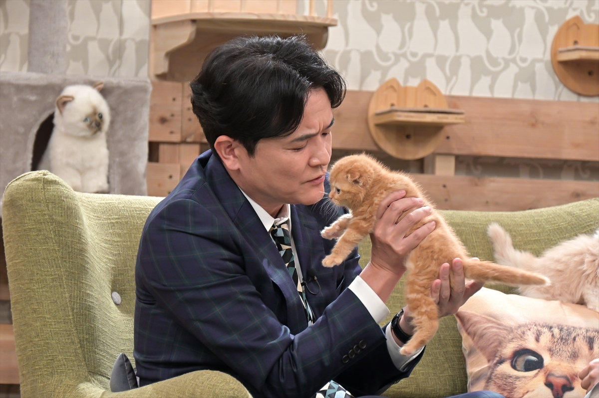 『愛と知識とのんとノブ』