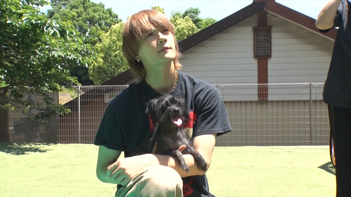 『嗚呼!!みんなの動物園2時間SP』