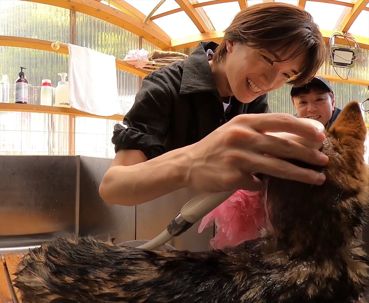 『嗚呼!!みんなの動物園2時間SP』