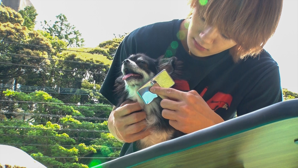『嗚呼!!みんなの動物園2時間SP』