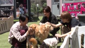 『嗚呼!!みんなの動物園2時間SP』