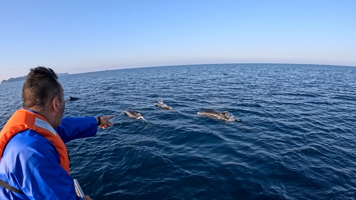 『海上ヒッチハイク 極上海の幸を求めて九州縦断430キロ』