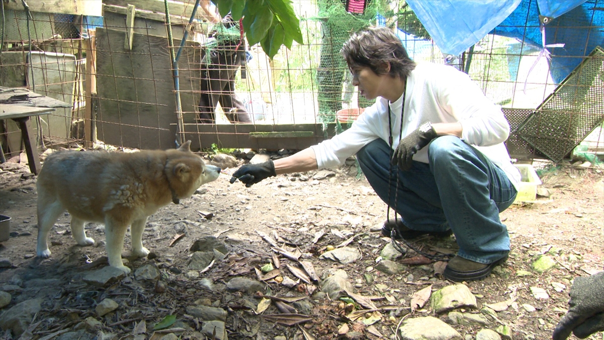 『嗚呼!!みんなの動物園2時間SP』
