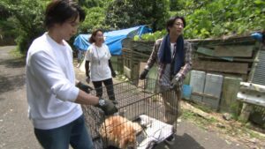 『嗚呼!!みんなの動物園2時間SP』