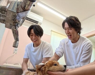 『嗚呼!!みんなの動物園2時間SP』