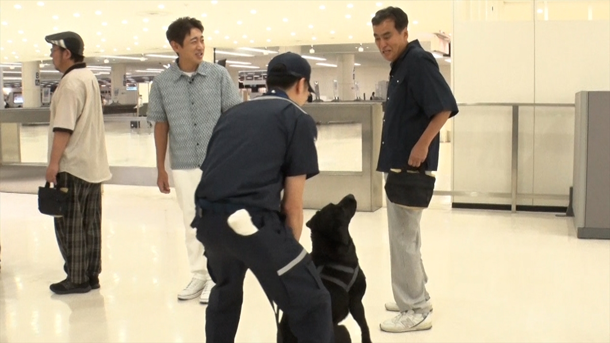 『日本探求アカデミックバラエティ 火曜の良純孝太郎』