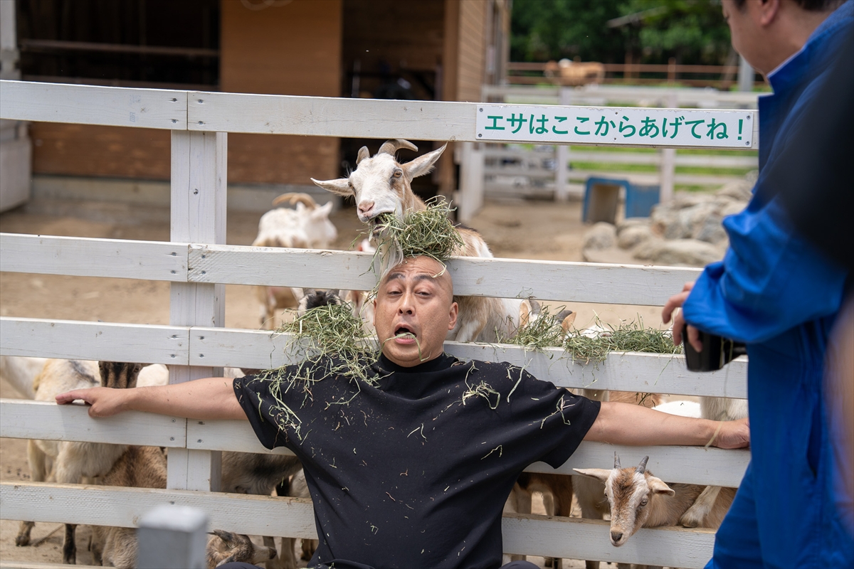 『有吉の壁SP』