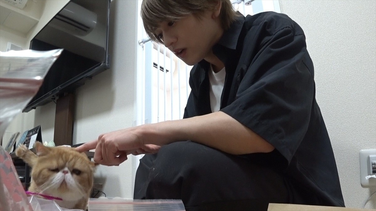 『嗚呼!!みんなの動物園2時間SP』