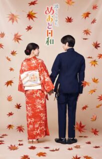 『波うららかに、めおと日和』(続編)