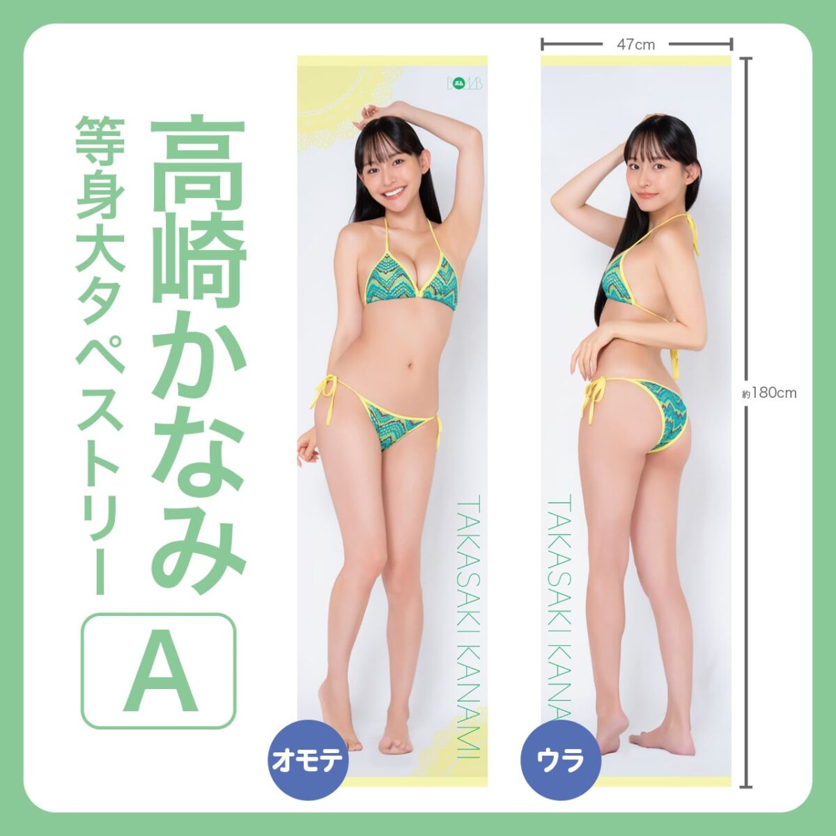 高崎かなみ等身大タペストリー【A】